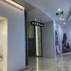 -时尚殿堂salon