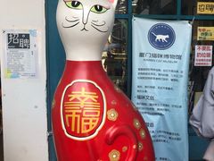 -猫咪博物馆(顶澳仔猫街店)