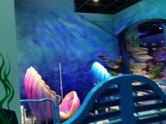 -青岛嘉年华主题乐园