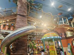 -卡通尼·Safari非洲探索乐园·生日会(金桥国际商业广场店)