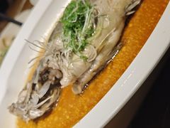 -广东道至正餐厅(区庄店)