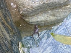 -英德宝晶宫天鹅湖茶语温泉