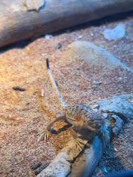 -酷嗒动物文化乐园(cutezoo西溪乐天城店)