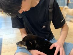 -逗柴咖啡屋·狗咖猫咖宠物桌游