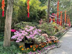 -惠山国家森林公园