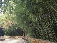 -竹泉村旅游度假区