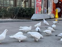 -中粮·祥云小镇