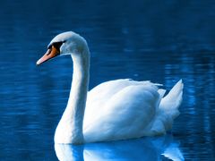 -万宁(新澳门银河店)