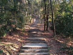 -西湖风景区十里琅珰-五云山
