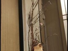 -花时·炭火烧肉(东百中心A馆店)