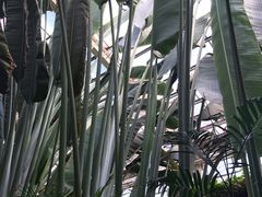 -龙达温泉生态城