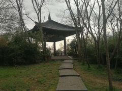 -蜀冈西峰生态公园