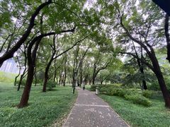 -玲珑塔公园