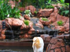 -吉隆坡雀鸟公园