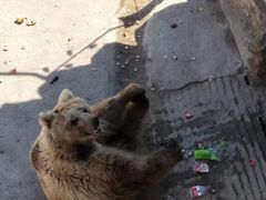 -哈尔滨北方森林动物园