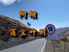 -莲宝叶则景区