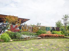 -上海长兴岛郊野公园