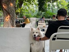 大旺旺-ADO KAFE(大学城店)