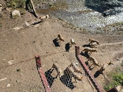 -沈阳森林动物园