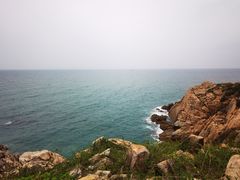 -广东惠东海龟国家级自然保护区