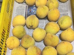 -樂桃源奉贤黄桃种植采摘基地