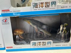 -华夏文旅海洋公园