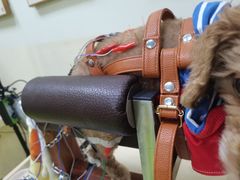 -美联众合动物医院·24h转诊中心