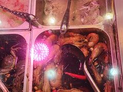 -红灯笼龙凤饭店(宁波老字号店)