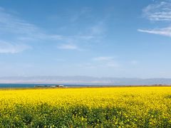 -青海湖国家重点风景名胜区