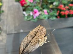 -上海自然博物馆