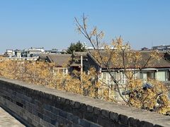 -西安唐皇城墙含光门遗址博物馆