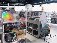 -浣熊唱片店(上海影城店)