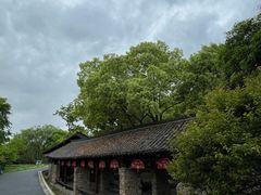 -西溪国家湿地公园