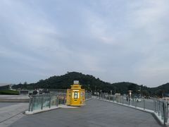 -野狸岛