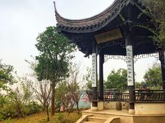 -鹅湖玫瑰文化园
