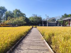 -北坞公园