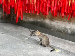 -宝通禅寺