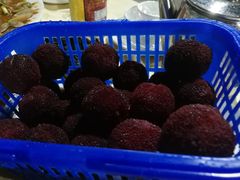 -老东风菜馆·潮汕大排档