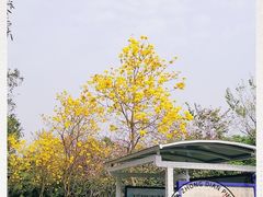 -雀儿山公园