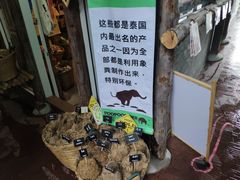 -大象粑粑造纸公园