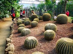-呀路古热带植物园
