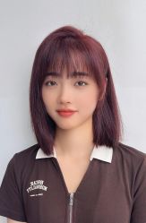 -YESIDO椰岛造型