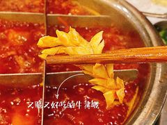 -朱氏胖子烂火锅(洪崖洞店)