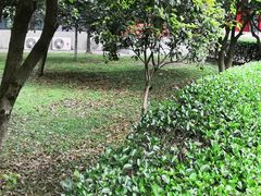 -四川大学(华西校区)