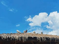 -无锡动物园·太湖欢乐园