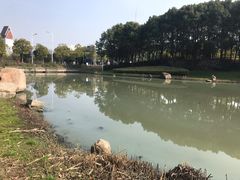 -美兰湖景区