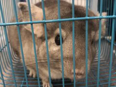 -荔康动物医院(康王北路店)