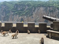 -白帝城·瞿塘峡景区