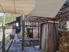 -MOJ coffee(瓯海泽雅水碓坑店)