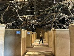 -世界恐龙谷景区